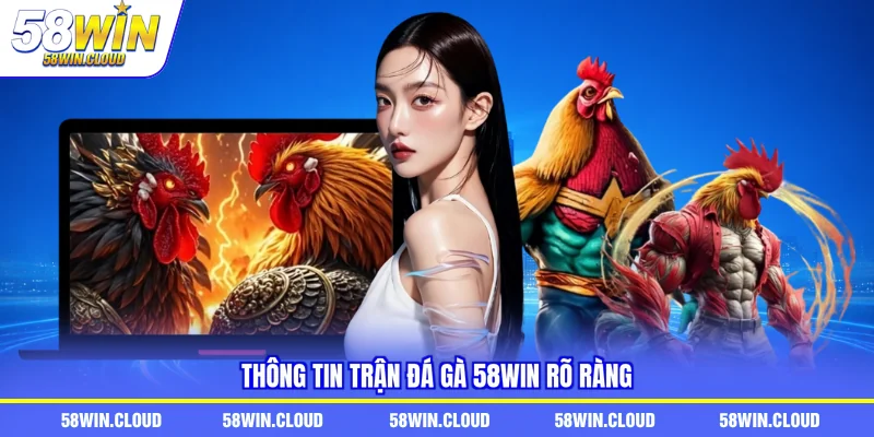 Thông tin trận đá gà 58Win rõ ràng